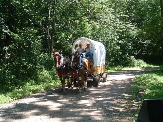 Covered Wagon