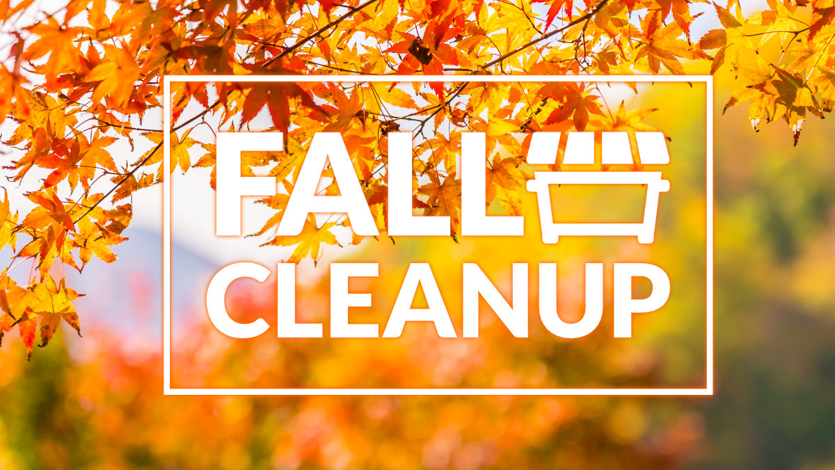 Fall Cleanup
